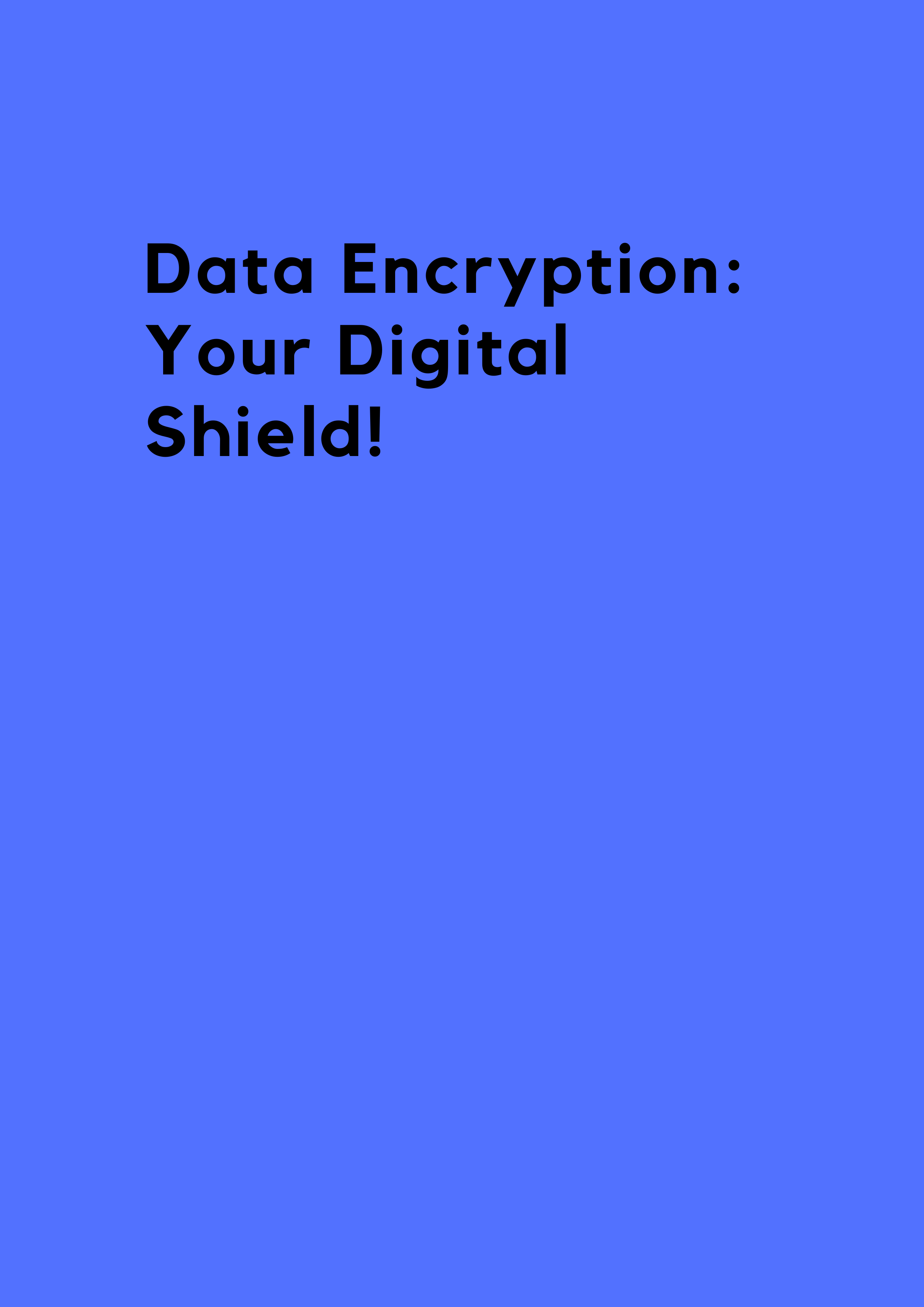 The importance of data encryption for security